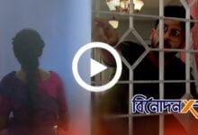Bengali serial