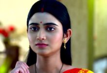 Bengali television