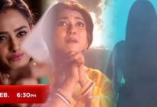 Bengali television
