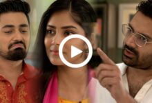 Bengali television