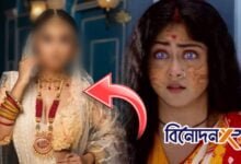 Bengali television