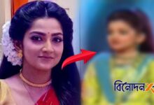 Bengali television