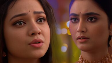 Bengali television, Zee Bangla, jagaddhatri, বাংলা সিরিয়াল, জি বাংলা, জগদ্ধাত্রী, মেহেন্দি