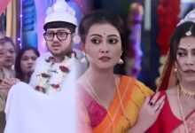 neem phooler madhu