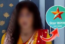 Bengali serial