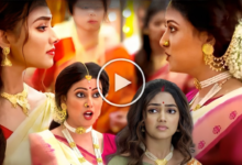 Phulki, Neem Phuler Modhu, Zee Bangla