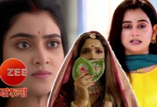mili new serial starts in zee bangla