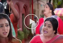 neem phuler modhu, zee bangla