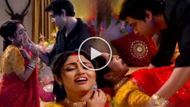 iccheputul, zee bangla