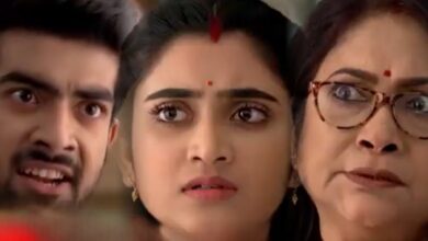 jagadhatri epi