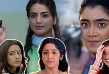 bxp trp, jagaddhatri, neem fuler madhu