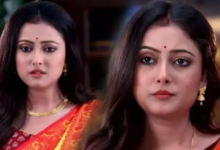 pallavi