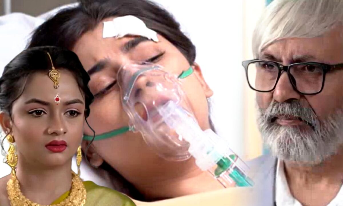 Ichhe Putul, Zee Bangla, Bengali serial, Bengali television, ইচ্ছে পুতুল, জি বাংলা, বাংলা সিরিয়াল, বাংলা টেলিভিশন