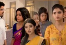 mithijhora zeebangla