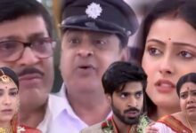 Neem Phuler Modhu, Zee Bangla, Bengali serial, Bengali television, নিম ফুলের মধু, জি বাংলা, বাংলা সিরিয়াল, বাংলা টেলিভিশন