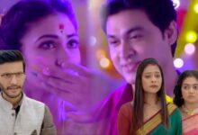 Phulki, Bengali Serial, Zee Bangla, Bengali television, ফুলকি, জি বাংলা, বাংলা সিরিয়াল, বাংলা টেলিভিশন