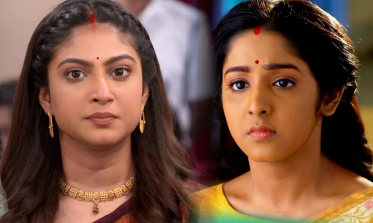 Bengali Serial, New Serial, Star Jalsha, Zee Bangla, স্টার জলসা, জি বাংলা, বাংলা সিরিয়াল