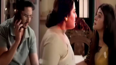 মিঠি ঝোড়া