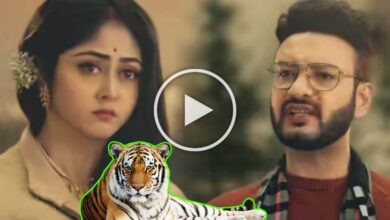 Star Jalsha