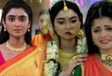 Jagaddhatri left the serial