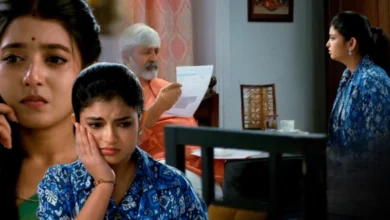 Bengali serial