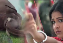 Bengali serial