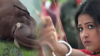 Bengali serial