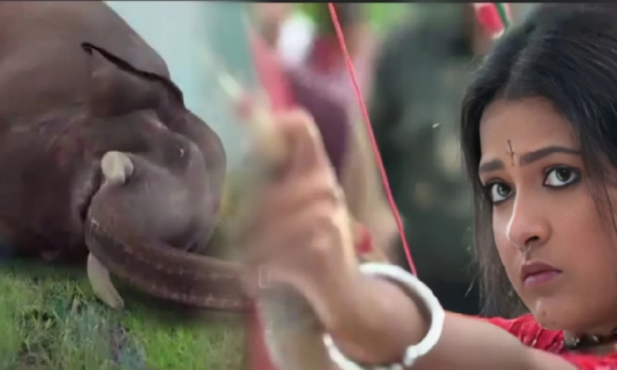 Bengali serial