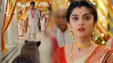 Bengali serial