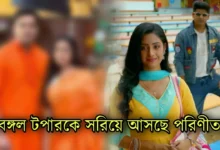 parineeta serial zee bangla