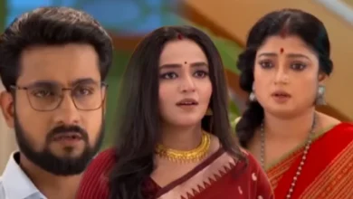 আনন্দী আজকের পর্ব