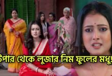 Neem Phuler Modhu , Zee Bangla, Bengali serial, Serial, Bengali television, নিম ফুলের মধু, জি বাংলা, বাংলা সিরিয়াল, বাংলা টেলিভিশন