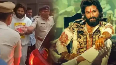 Allu Arjun, Actor, Indian Actor, South Indian Actor, Pushpa 2, আল্লু অর্জুন, অভিনেতা, ভারতীয় অভিনেতা, দক্ষিণী অভিনেতা, পুষ্পা ২