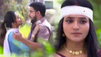 আনন্দী আজকের পর্ব
