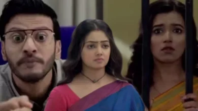 Phulki, Zee Bangla, Bengali Serial, Bengali television, ফুলকি, জি বাংলা, বাংলা সিরিয়াল, বাংলা টেলিভিশন, Phulki Today Episode 6 January, ফুলকি আজকের পর্ব ৬ জানুয়ারি , ফুলকি আজকের পর্ব