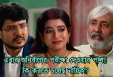 Bengali serial