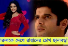 Parineeta, Zee Bangla, Bengali Serial, Bengali Television, পরিণীতা, জি বাংলা, বাংলা সিরিয়াল, বাংলা টেলিভিশন, Parineeta New Episode