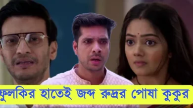 ফুলকি