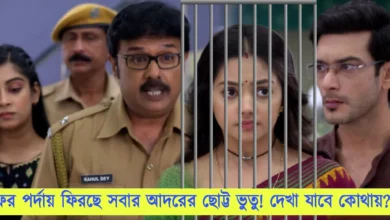 ফুলকি