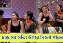 Bengali serial