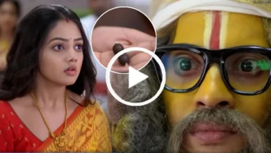 ফুলকি