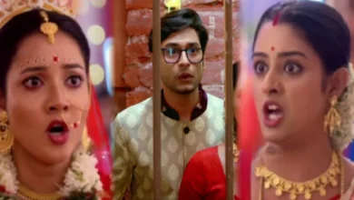Parineeta Today's Episode 26 August