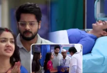 Phulki, Zee Bangla, Bengali Serial, Bengali television, Phulki New Episode, Devyani Mondal, Abhishek Bose, Actress , Actor, Phulki Today's Episode 7 September, ফুলকি, জি বাংলা, বাংলা সিরিয়াল, বাংলা টেলিভিশন, ফুলকি নতুন এপিসোড, দিব্যানি মন্ডল, অভিষেক বোস, অভিনেতা, অভিনেত্রী, ফুলকি ৭ সেপ্টেম্বর এপিসোড