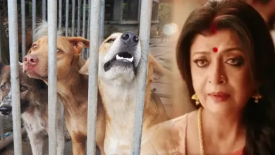 ফিল্ম ইন্ডাস্ট্রি