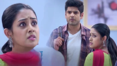 Parineeta Today's Episode 4 November