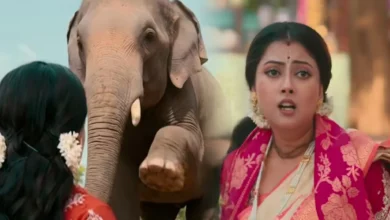 Zee Bangla, Bengali serial, Bengali television, New Promo, Tare Dhori Dhori Mone Kori, জি বাংলা, তারে ধরি ধরি মনে করি, বাংলা টেলিভিশন, বাংলা সিরিয়াল, নতুন প্রোমো