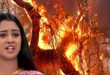 Bengali serial