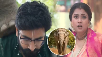 Tare Dhori Dhori Mone Kori, Zee Bangla, Bengali Serial, Bengali Television, Tare Dhori Dhori Mone Kori New Episode, Tare Dhori Dhori Mone Kori Today's Episode 11 May, Today's Episode, তারে ধরি ধরি মনে করি, জি বাংলা, বাংলা সিরিয়াল, বাংলা টেলিভিশন, তারে ধরি ধরি মনে করি আজকের পর্ব, তারে ধরি ধরি মনে করি ১১ মে আজকের পর্ব